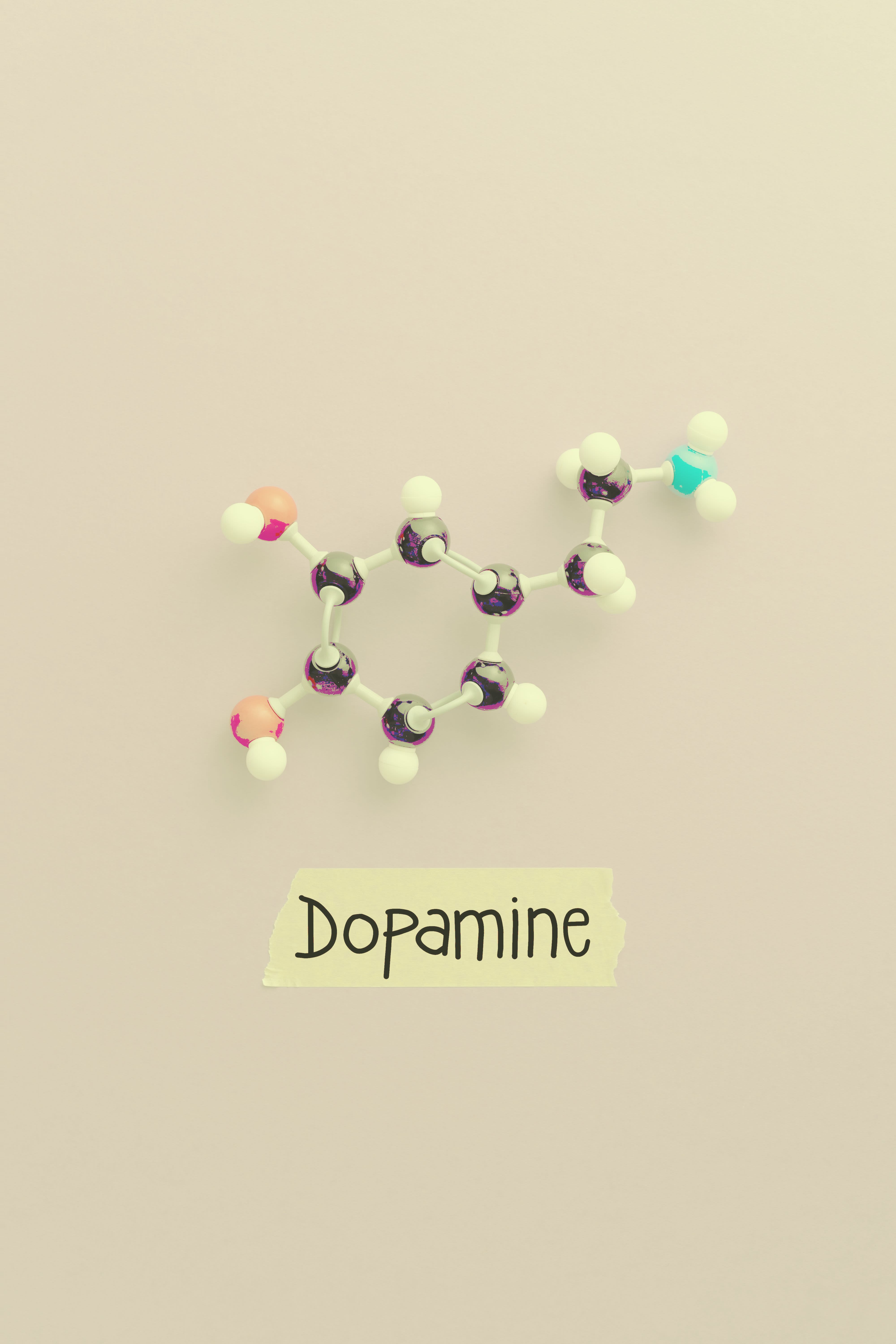 Image of palm trees and car