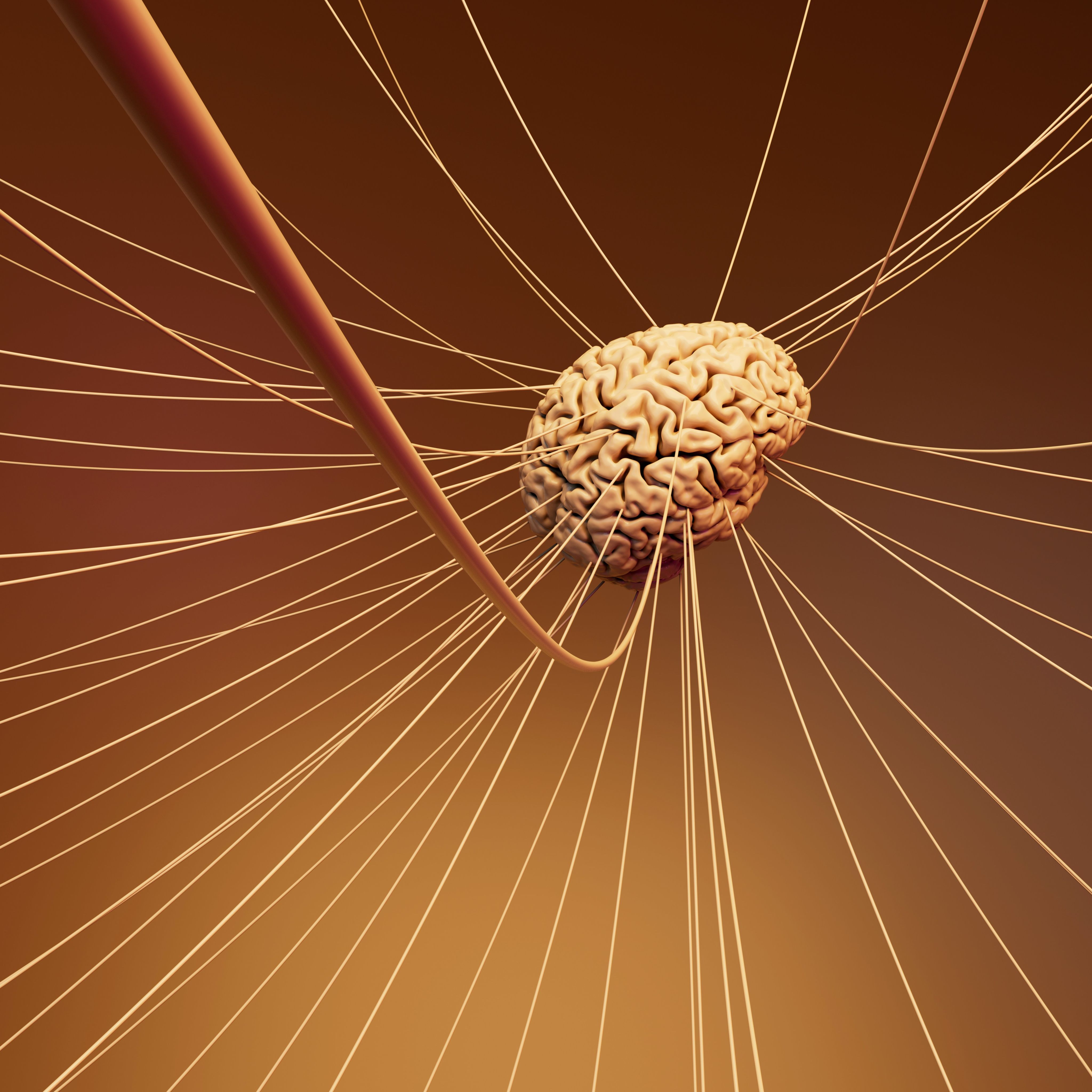 A computer generated image of a human brain