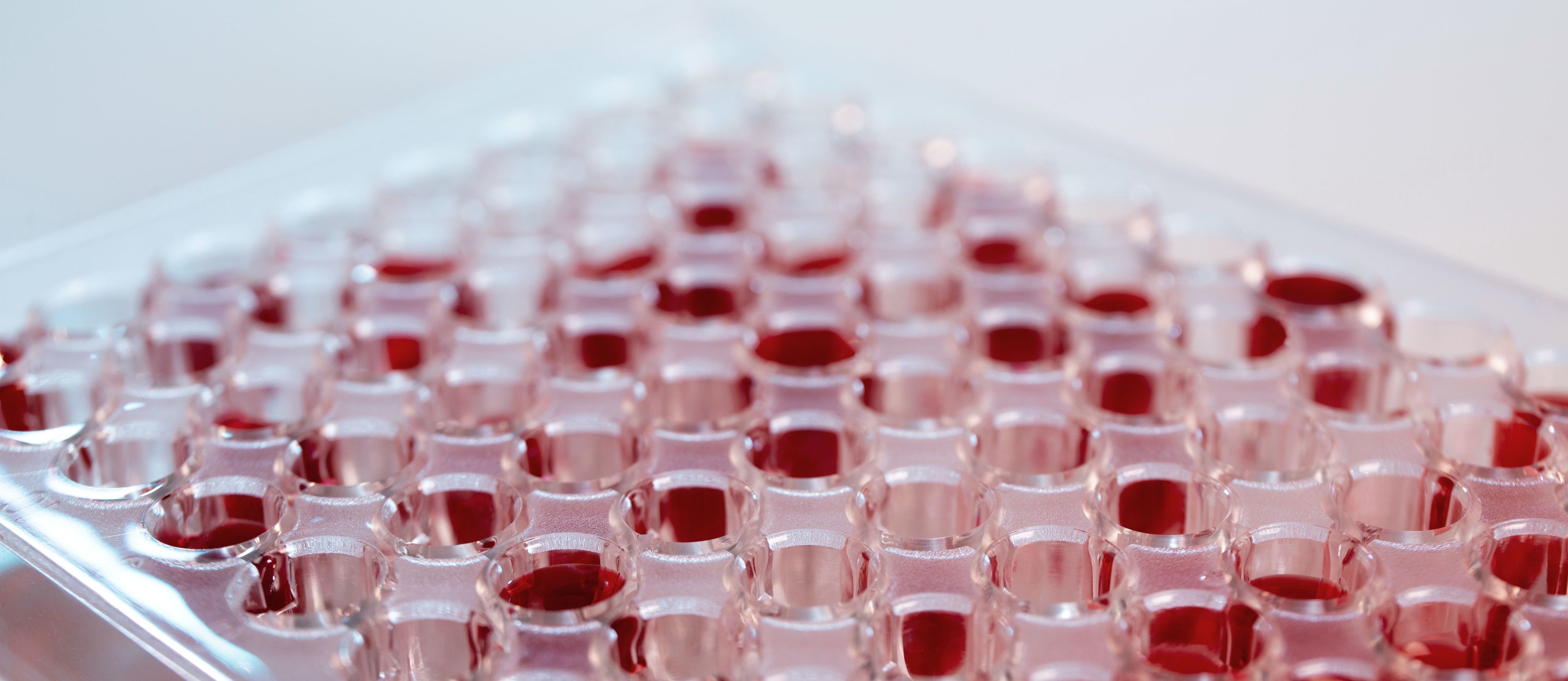 a black background with a bunch of orange and white lines