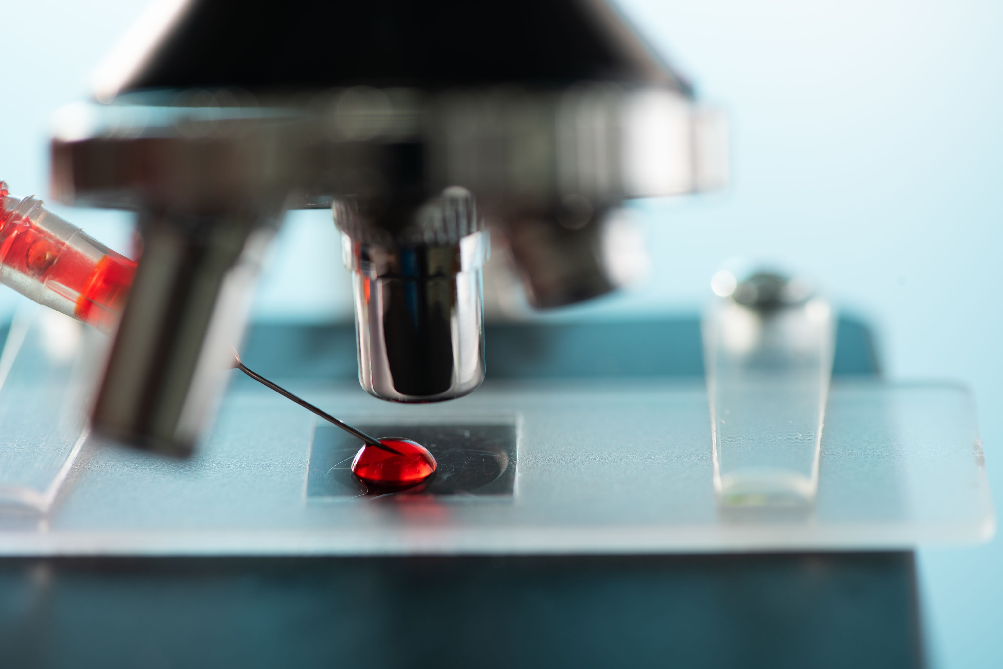Image of palm trees and car
